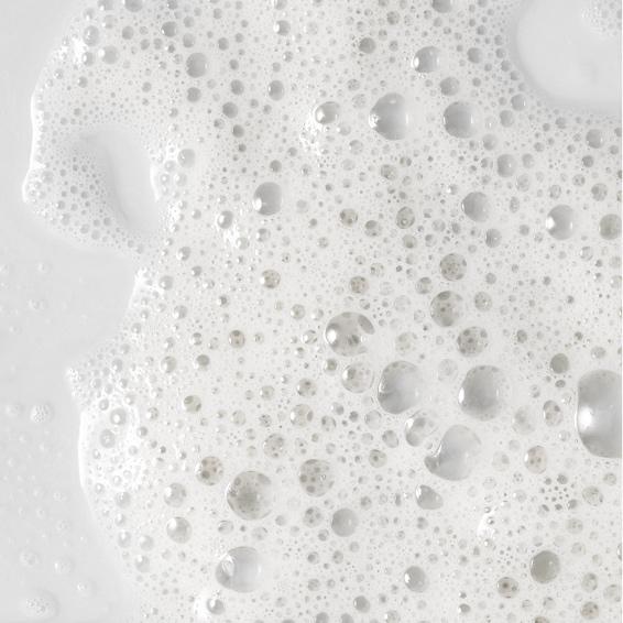 Black Friday Blowout Package